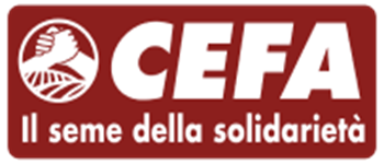 cropped cefa logo